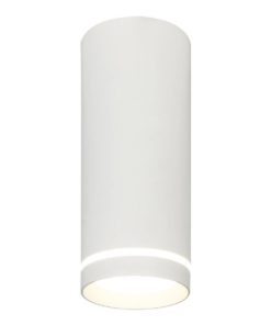 Потолочный светодиодный светильник Escada 20009SMU/02LED SWH
